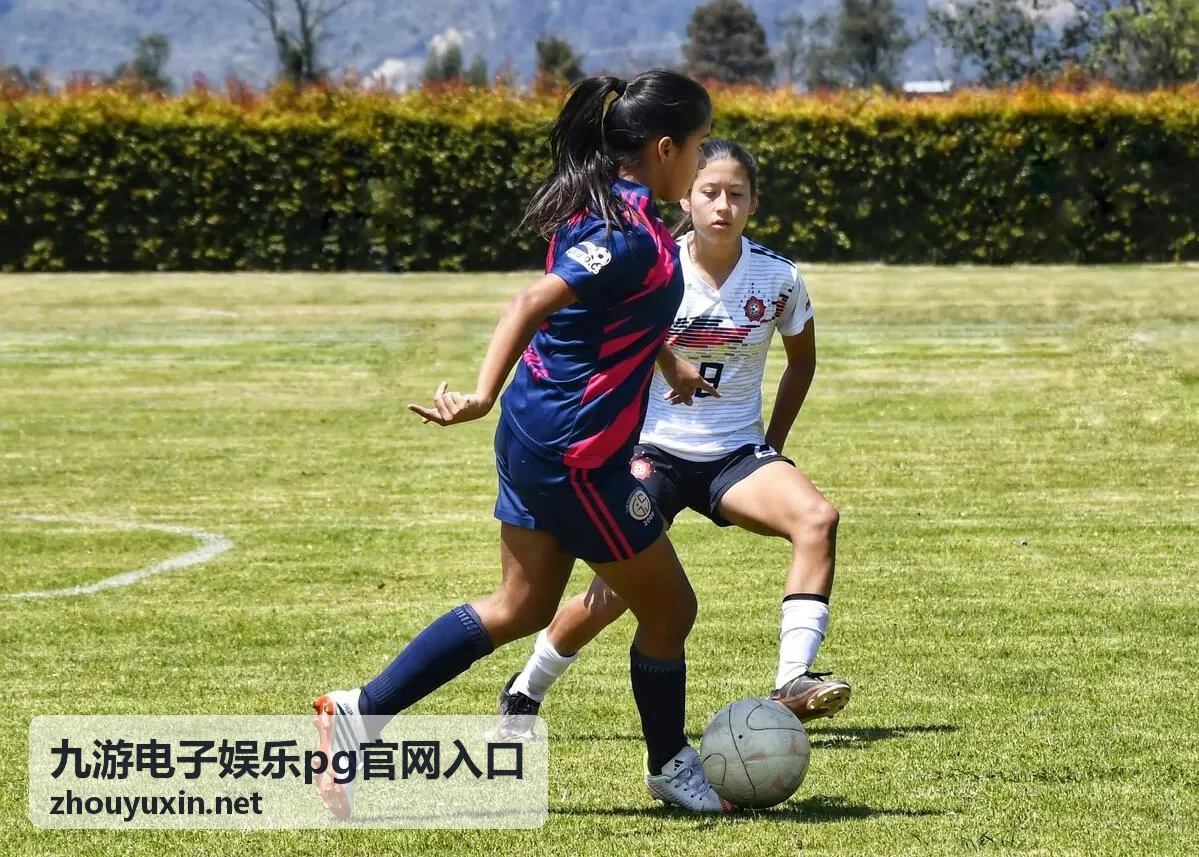 九游电子娱乐pg官网入口玩法百科多端体验与娱乐节奏示意